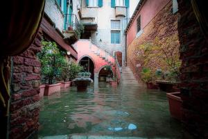 День у затопленії Венеції очима фотографа