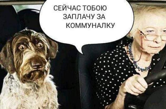 Фигурантка конфликта получила монетизированную субсидию