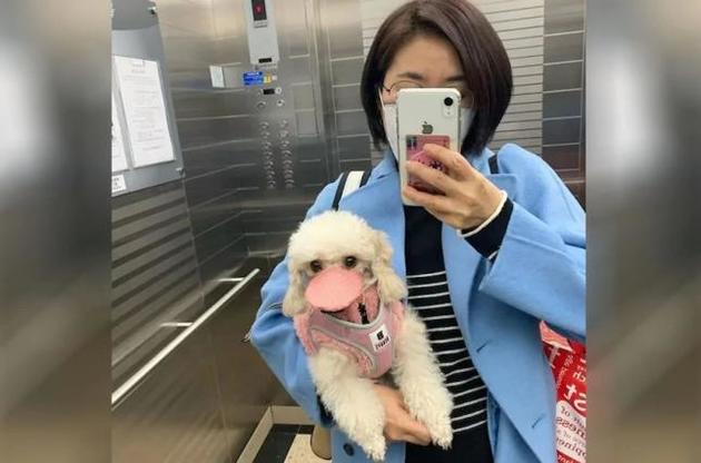 Домашні тварини не можуть заразити господаря коронавірусом