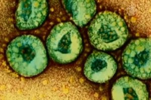 Коронавірус: у Грузії зареєстрували 12 випадків зараження