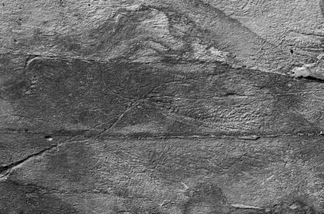 Довжина ниток могла досягати чотирьох метрів