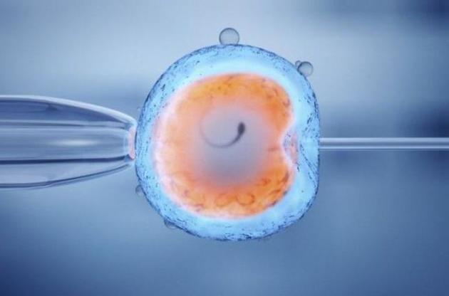 Ученые создали &quot;живые программируемые машины&quot;