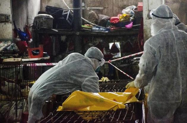 Вирусы очень чувствительны к любым изменениям и обладают удивительной способностью у &quot;перевоплощению&quot;