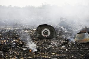 Армия Нидерландов готовилась секретно попасть в Украину сразу после крушения MH17 для защиты обломков