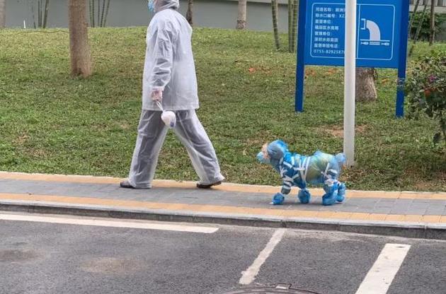 У Китаї не тільки люди носять маски