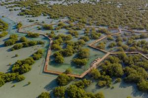 В столице Арабских Эмиратов открылся мангровый парк Jubail Mangrove Park