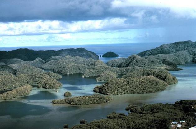 Республика Палау стала первым в мире государством, запретившим токсические солнцезащитные кремы