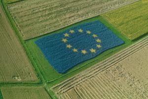 ЄС посилить протекціоністські заходи на прохання бізнесу – Reuters