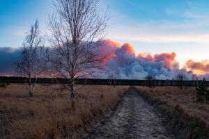 Опубліковані зняті дроном фотографії пожежі в Чорнобильській зоні