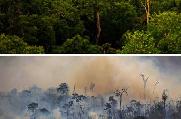 Последствия быстрого потепления будут пагубными