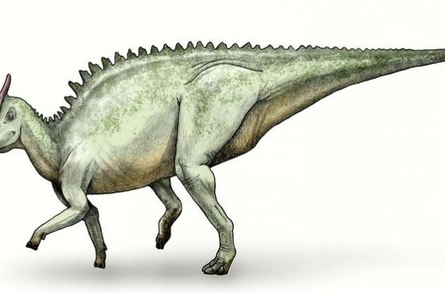 Ученые нашли редкий вид человеческого рака на хвосте у динозавра