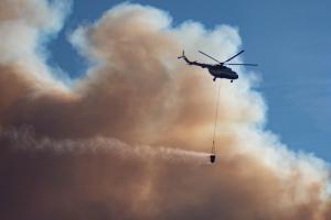 "Десятки мільйонів гривень":  в ДАЗВ оцінили збитки від пожежі в Чорнобилі