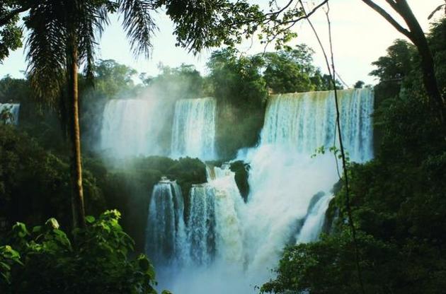 Тропические леса могли существовать в Антарктиде 90 миллионов лет назад
