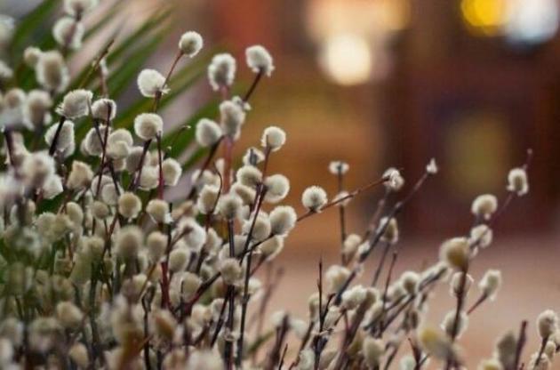 Церкви проводять богослужіння, присвячені Вербної неділі