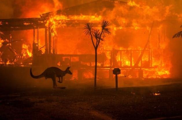Зміна клімату збільшила ризик пожеж в Австралії як мінімум на 30%