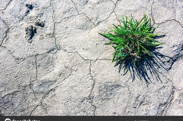 Нові дати буде визначено після спільного обговорення з членами форуму