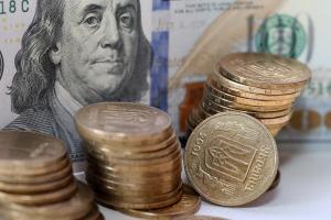 Експерт радить Україні зберегти власну валюту, попри курс на євроінтеграцію