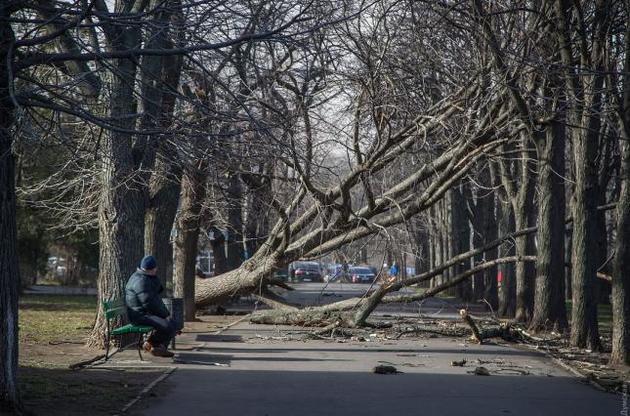 Непогода в Украине: полтысячи городов и поселков без света, есть раненые и погибшая