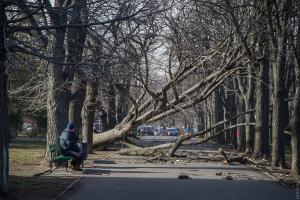 Непогода в Украине: полтысячи городов и поселков без света, есть раненые и погибшая