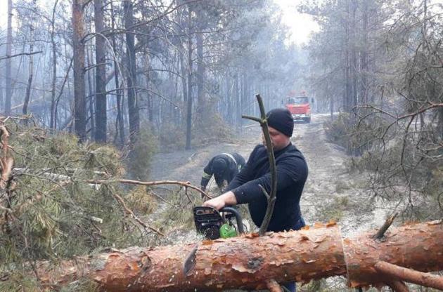 У зоні відчуження триває ліквідація двох вогнищ лісових пожеж – ДСНС