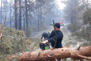 У зоні відчуження триває ліквідація двох вогнищ лісових пожеж – ДСНС