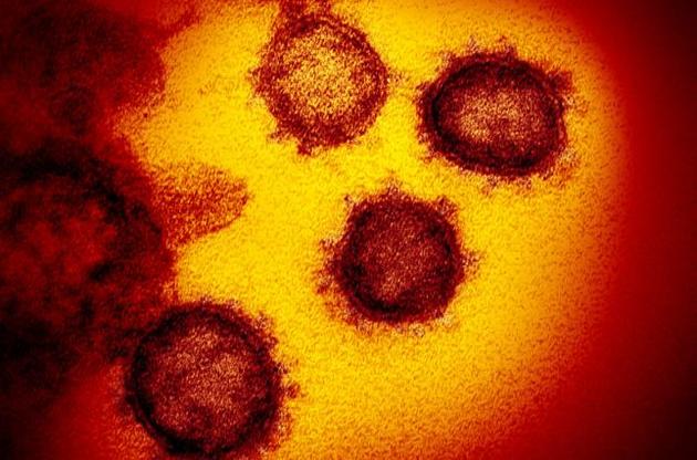 Вчені роздивилися структуру "ахіллесової п'яти" нового коронавірусу