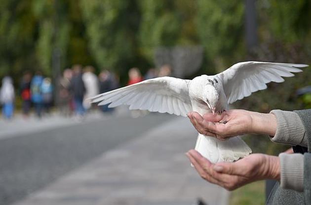 У складі Інституту працюють вітчизняні та зарубіжні вчені