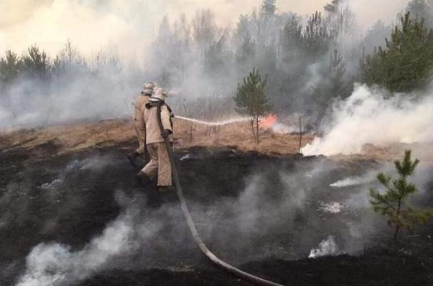 В Киевской области нашли виновника очередного пожара в зоне ЧАЭС