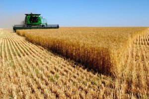 Надія vs коронакриза