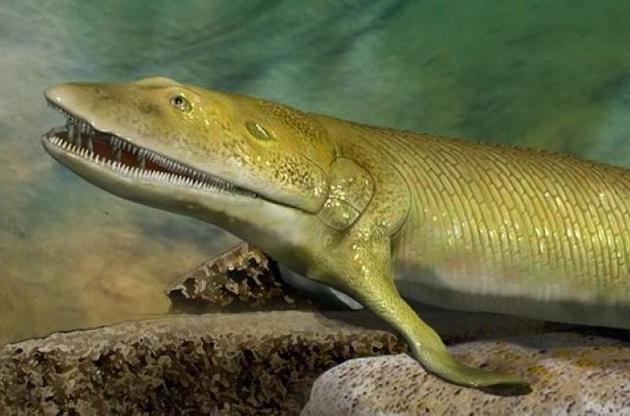 Риба жила на Землі 380 мільйонів років тому