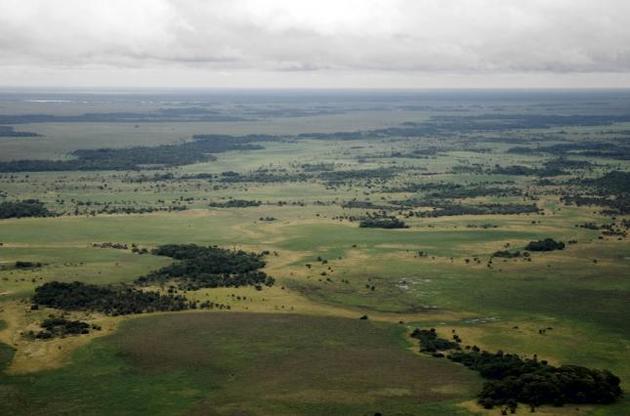В Амазонії виявлені сліди розвиненої "протоцивілізації"