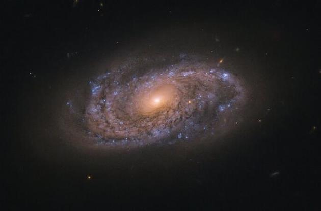 "Хаббл" получил снимок галактики, полной молодых звезд