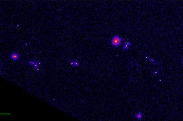 Обсерватория "Спектр-РГ" зафиксировала "пробуждение" черной дыры