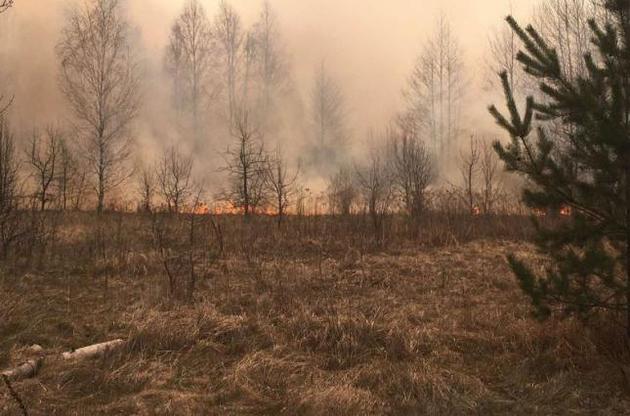 Наслідки пожежі у зоні ЧАЕС обійдуться Україні в 145 млн гривень