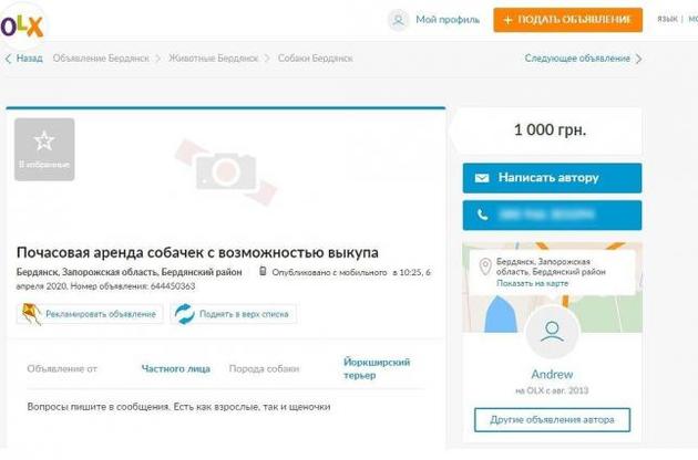 Сайти оголошень рясніють пропозиціями оренди