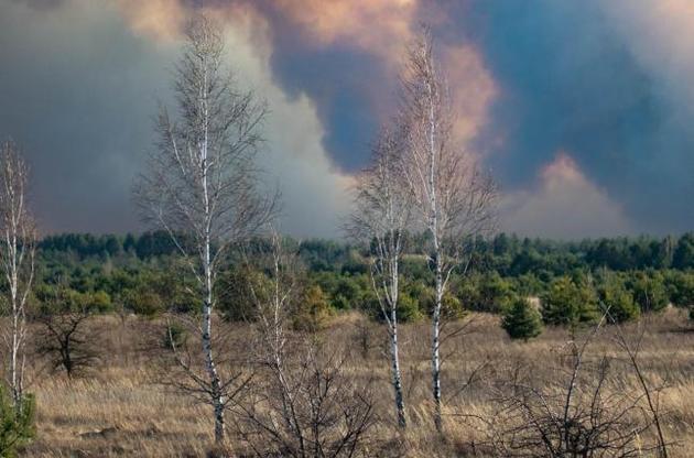 Пожар в зоне отчуждения ликвидировали накануне