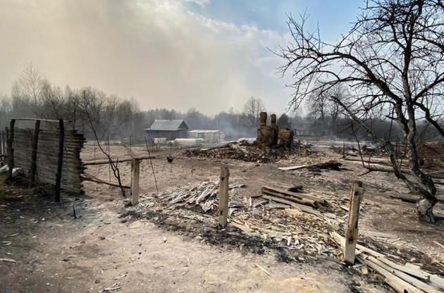 На Житомирщині підрахували збитки від масштабних лісових пожеж