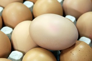 У США відкликаються з продажу сотні мільйонів яєць