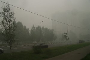 Москвичка подала в суд на городские и федеральные власти из-за смога