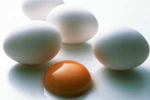 Німеччина: Діоксин в курячому кормі виявили ще у березні 2010 року