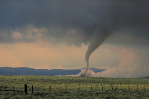 Торнадо и ураганы в США унесли жизни 230 человек