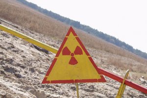 У зоні відчуження хочуть вирощувати сировину для біогазу