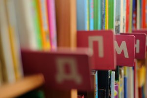 Янукович подписал закон о запрете приватизации помещений библиотек, книжных магазинов и издательств