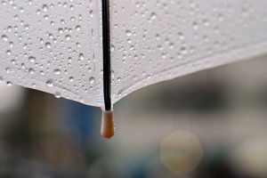 Завтра в Києві +25 і грози