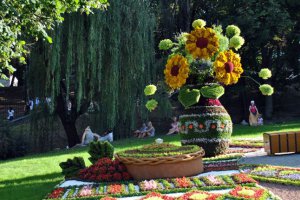 У суботу в Києві на Співочому полі відкривається традиійна виставка квітів