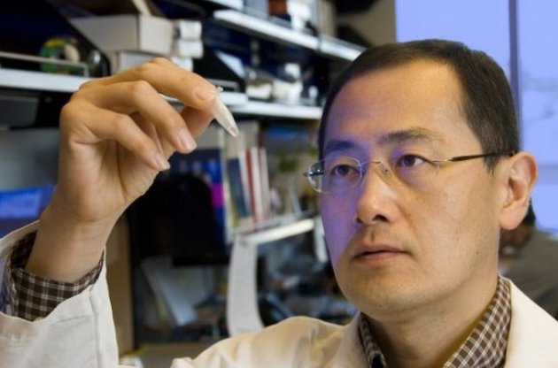 Японские ученые создали клетки-убийцы для борьбы с раком