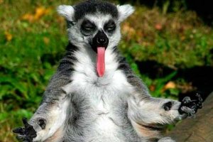 Интеллигенция, или Несколько слов 