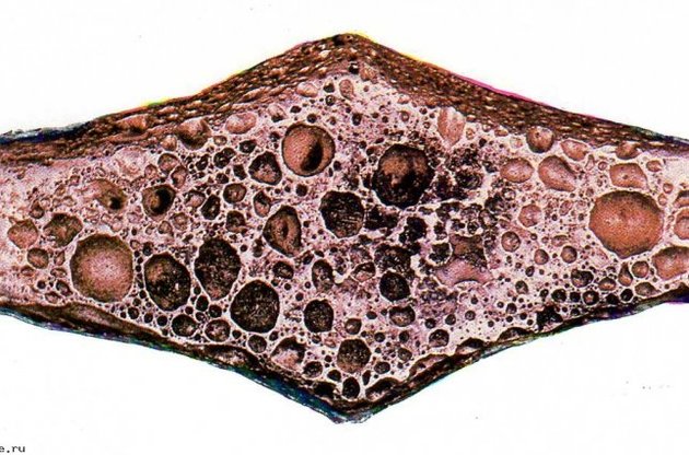 Гривня часів Київської Русі