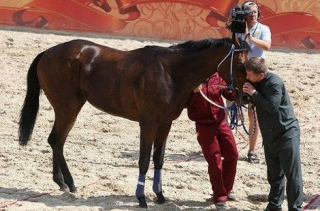 Кадыров и его лошадь по кличке &quot;Сладкий Утенок&quot;