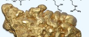 Биологи получили вещество, выделяющее золото из морской воды